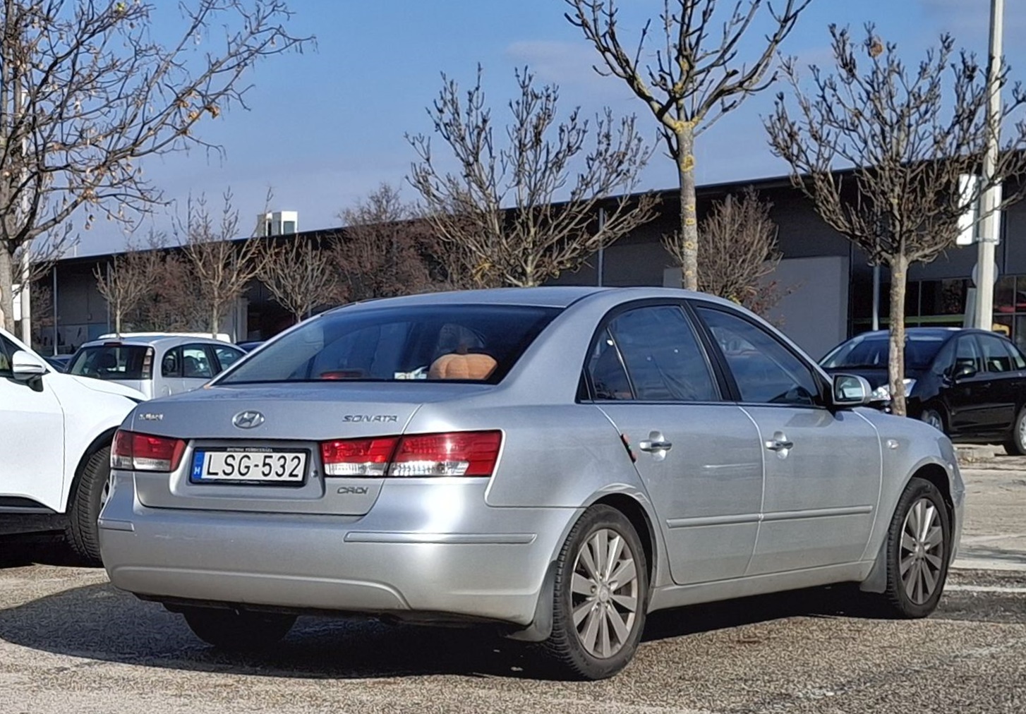 LSG-532, Hyundai Sonata 5th gen (Embera, Transform) (NF), facelift, 2008–2010