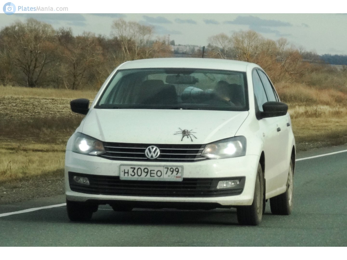 н 309 ео 799, Volkswagen Polo 5th gen Sedan (A05), 1st facelift, 2015–2020