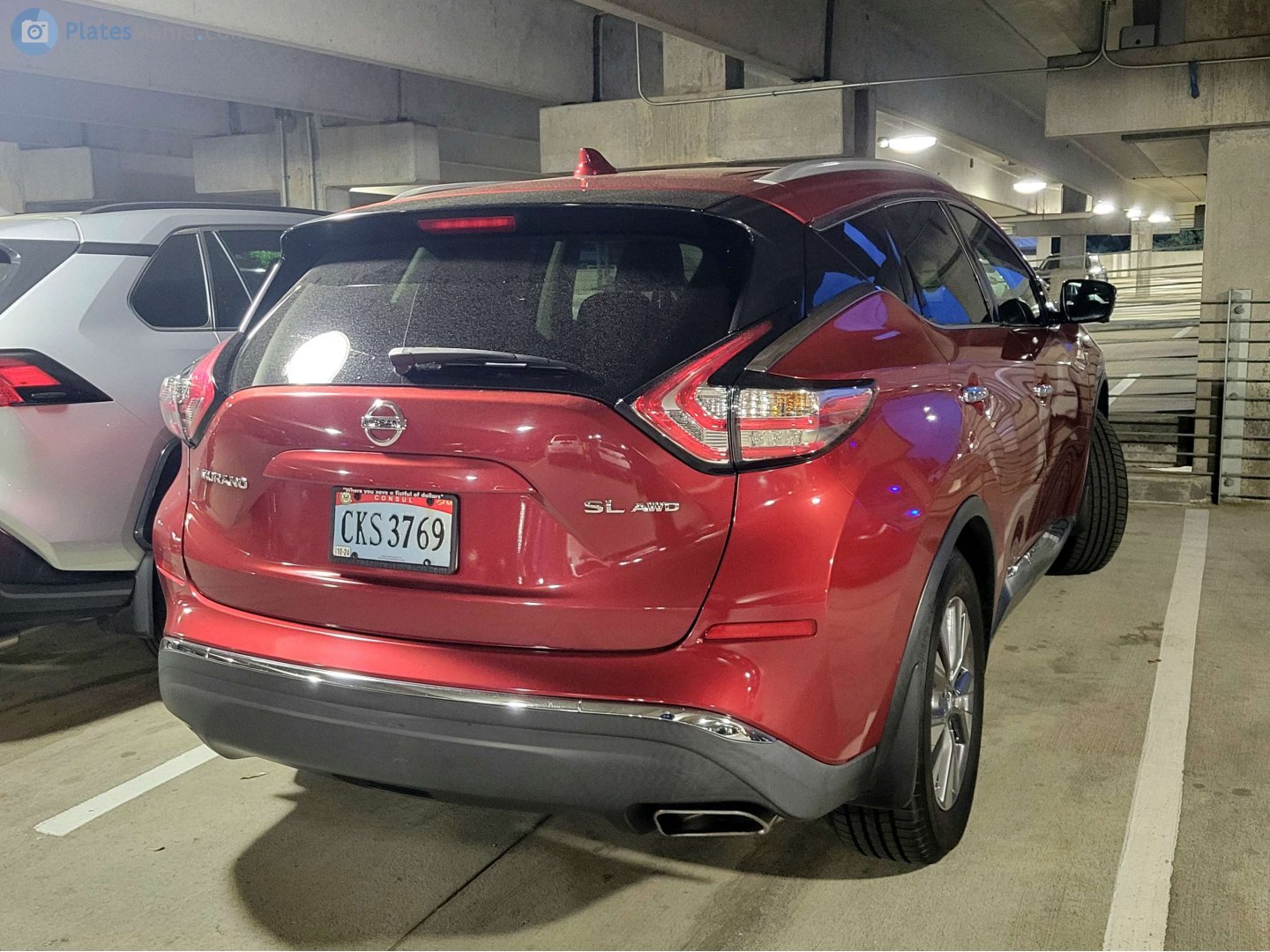 CKS 3769, Nissan Murano 3rd gen (Z52), 2014–2024