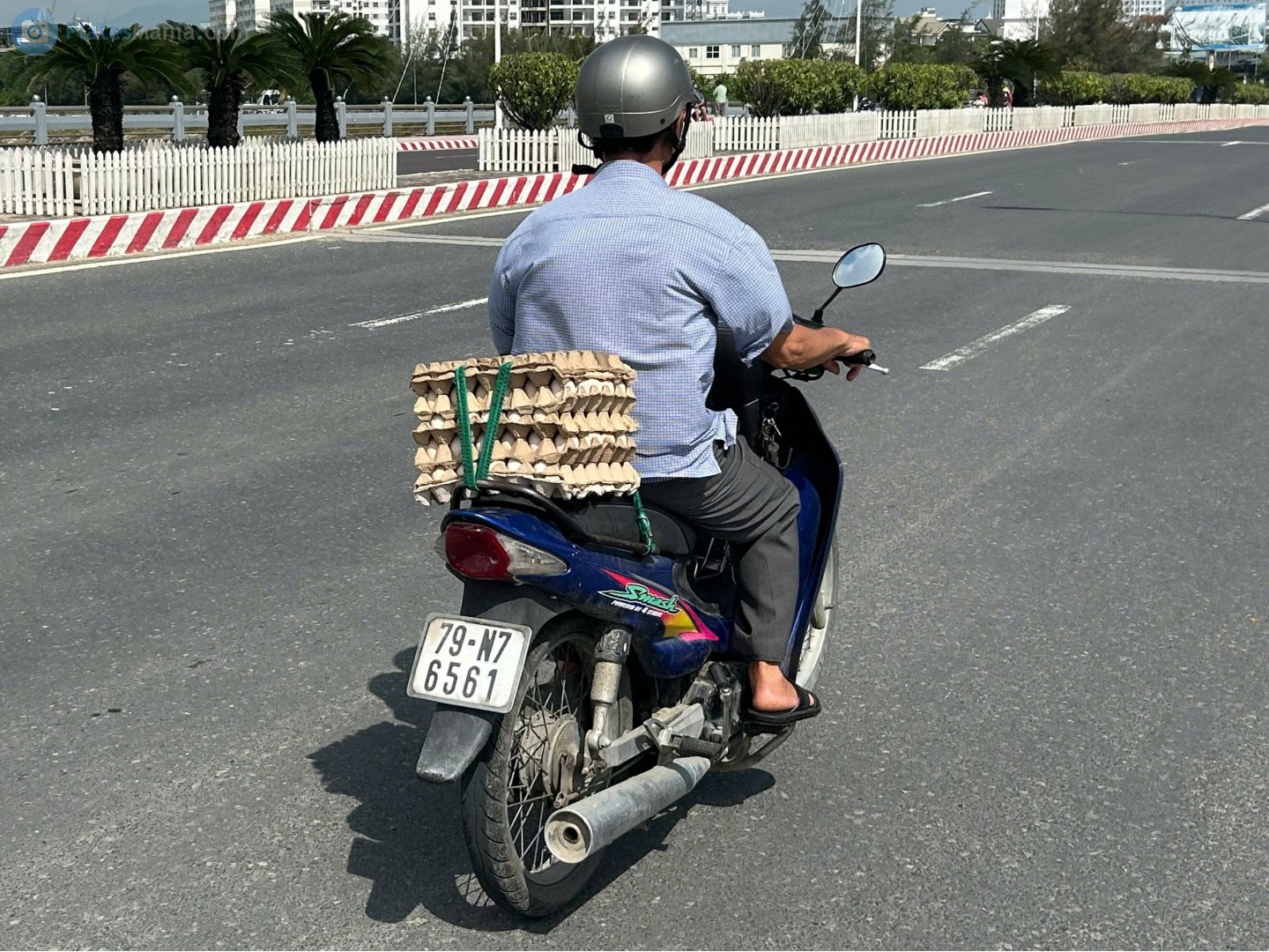 79-N7 6561, Suzuki Smash 