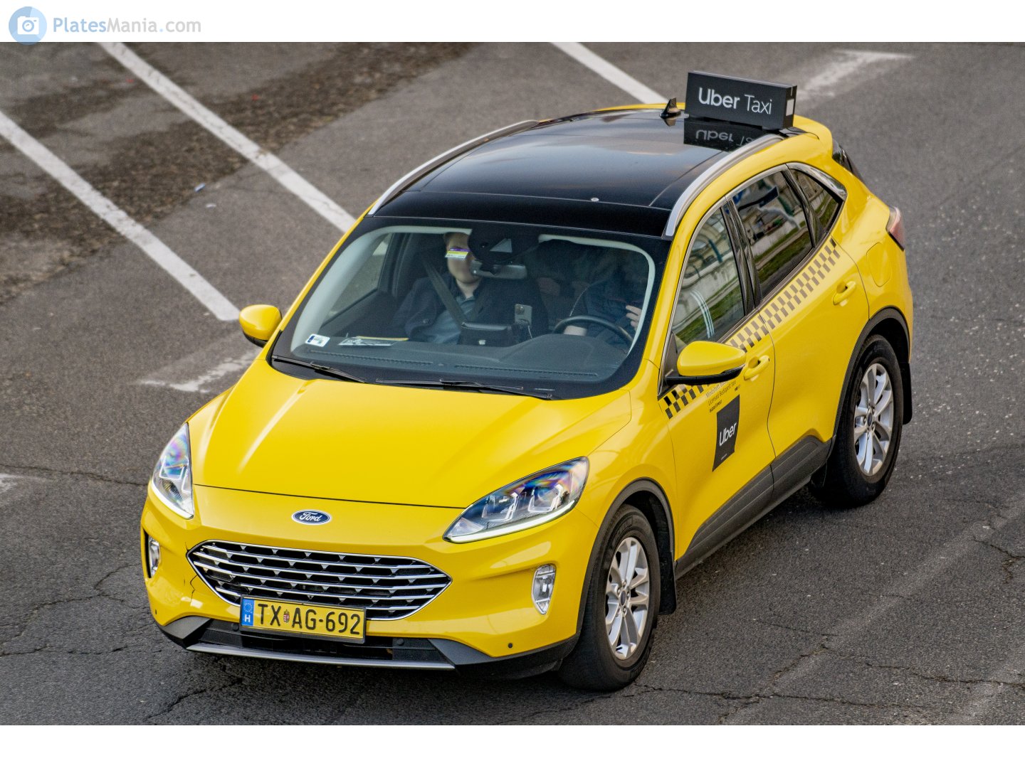 TX AG-692, Ford Kuga 3rd gen (CX482), 2019–2024