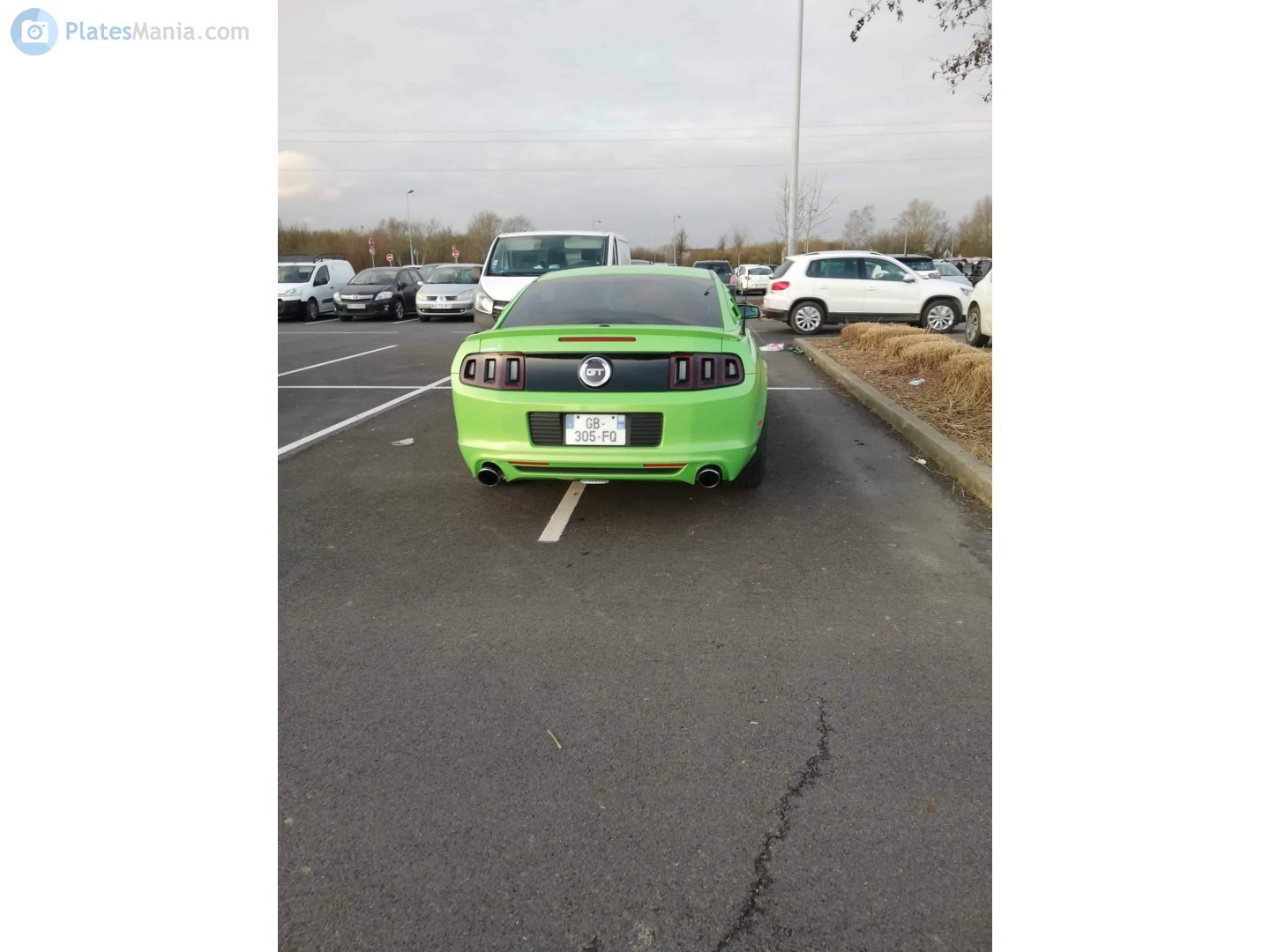 GB-305-FQ, Ford Mustang 5th gen 2-door Coupé (S197), 1st facelift, 2009–2012