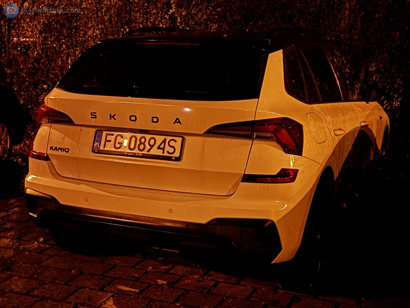 FG 0894S, Skoda Kamiq 1st gen (NW4; Global-market), 2019–2024