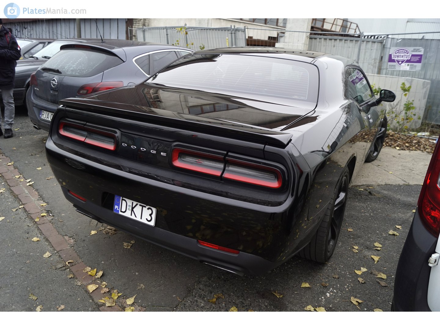 D KT3, Dodge Challenger 