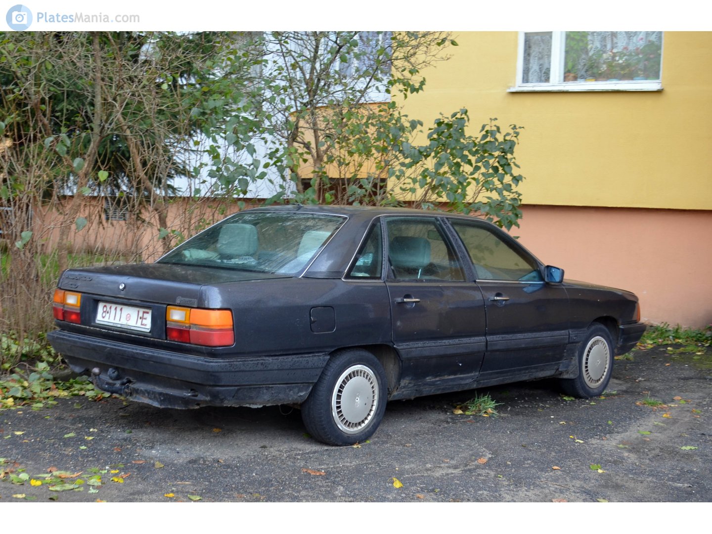 8111 IE, Audi 100 3rd gen Sedan (C3/44), 1982–1991