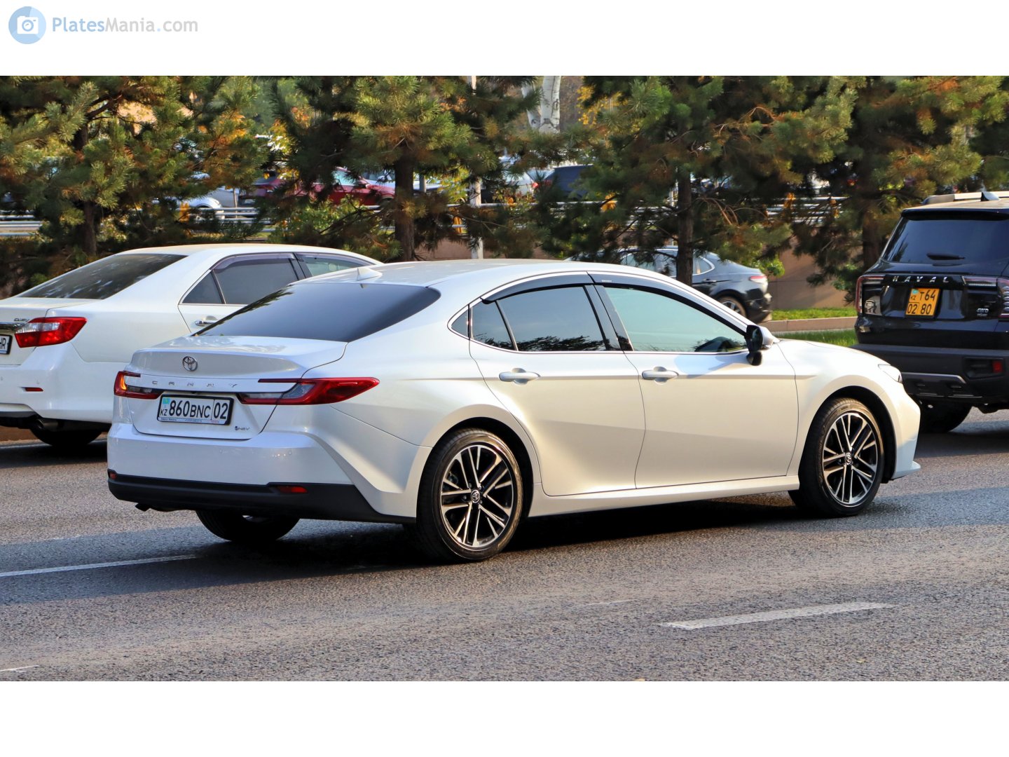 860 BNC 02, Toyota Camry 9th gen (XV80), 2024–