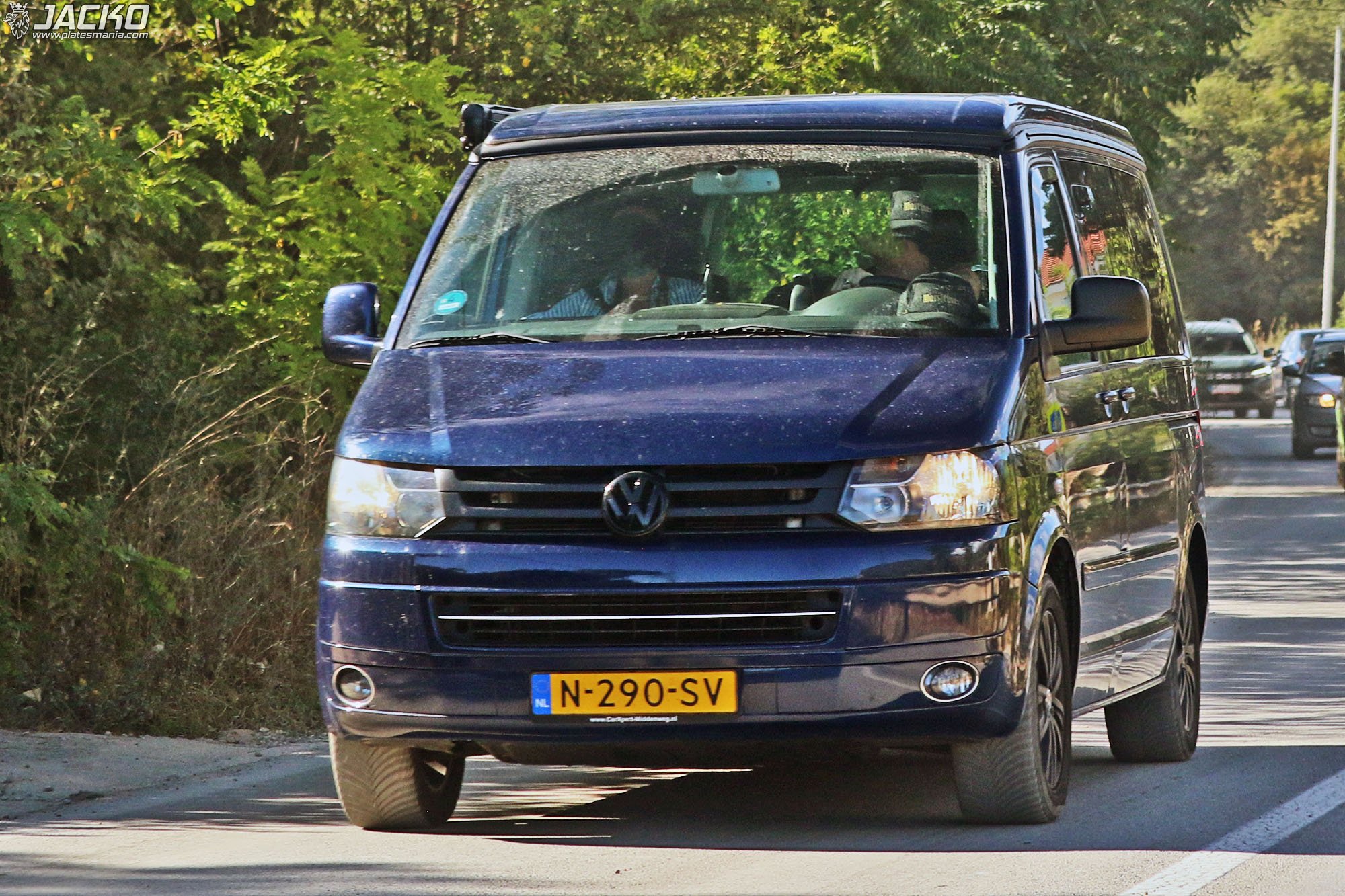 N-290-SV, Volkswagen Multivan T5 (7H/7E), facelift, 2009–2015