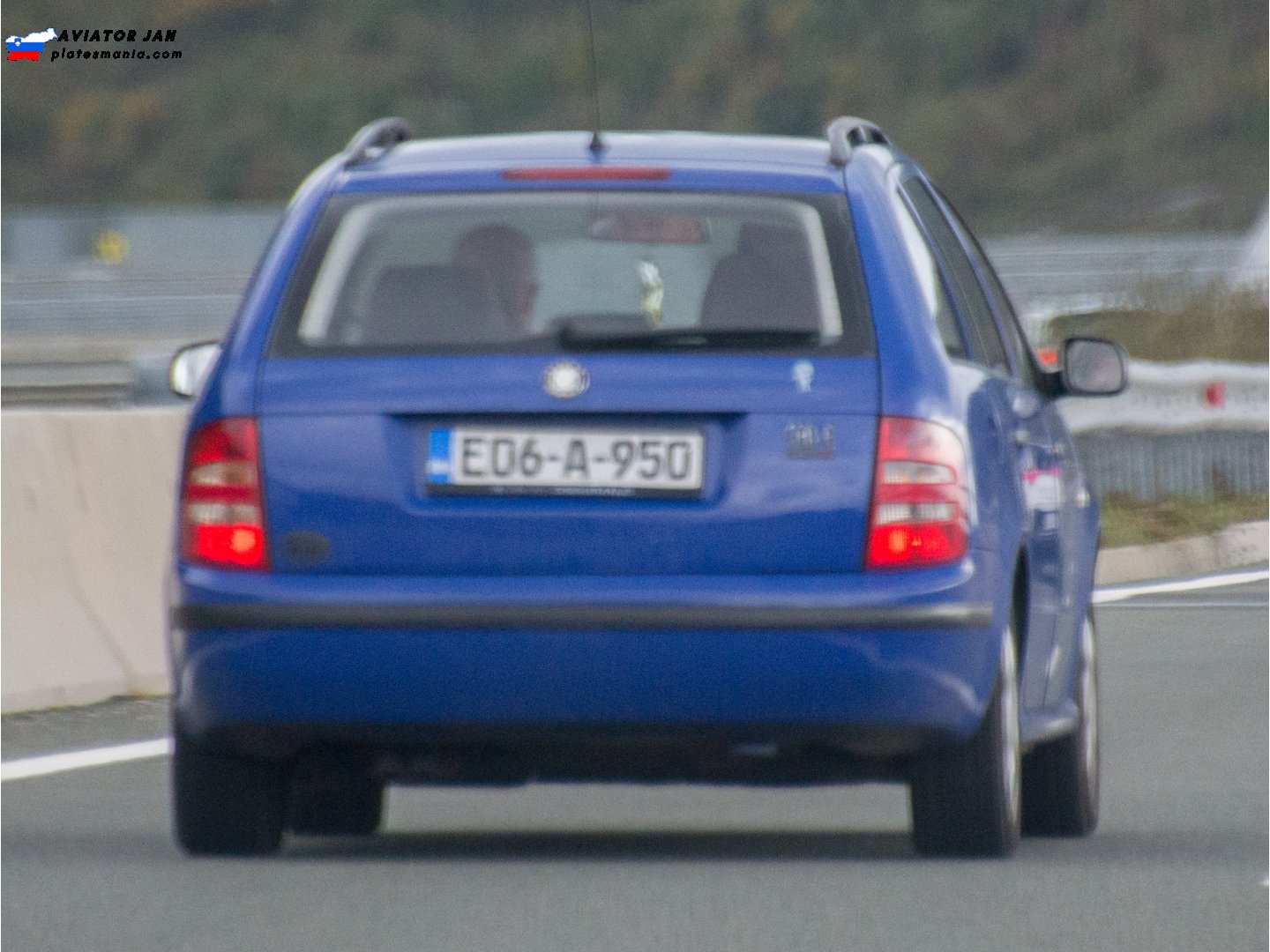 E06-A-950, Skoda Fabia 1st gen Combi (6Y5), 2000–2007