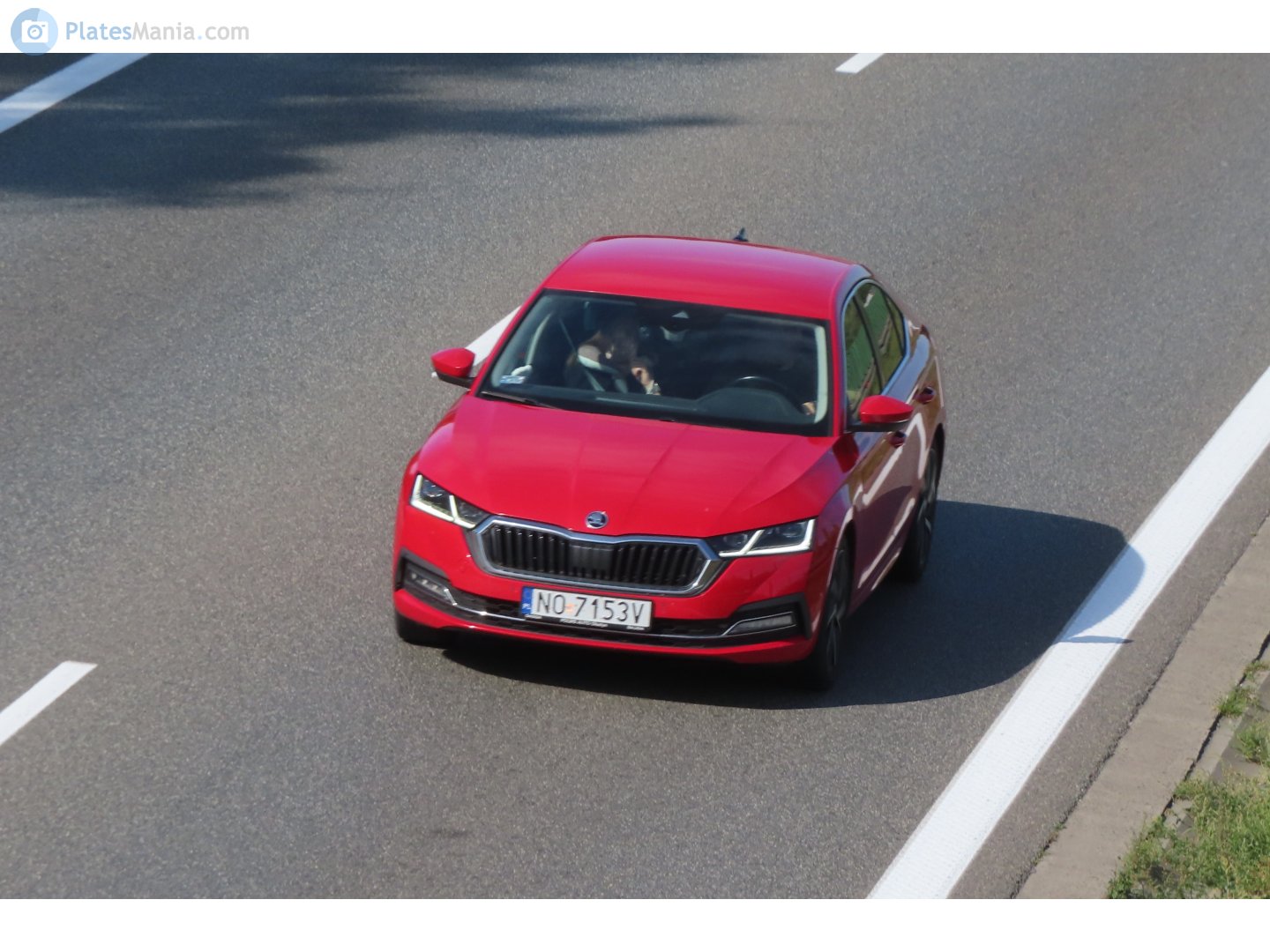 NO 7153V, Skoda Octavia 4th gen Liftback (NX3), 2019–2024