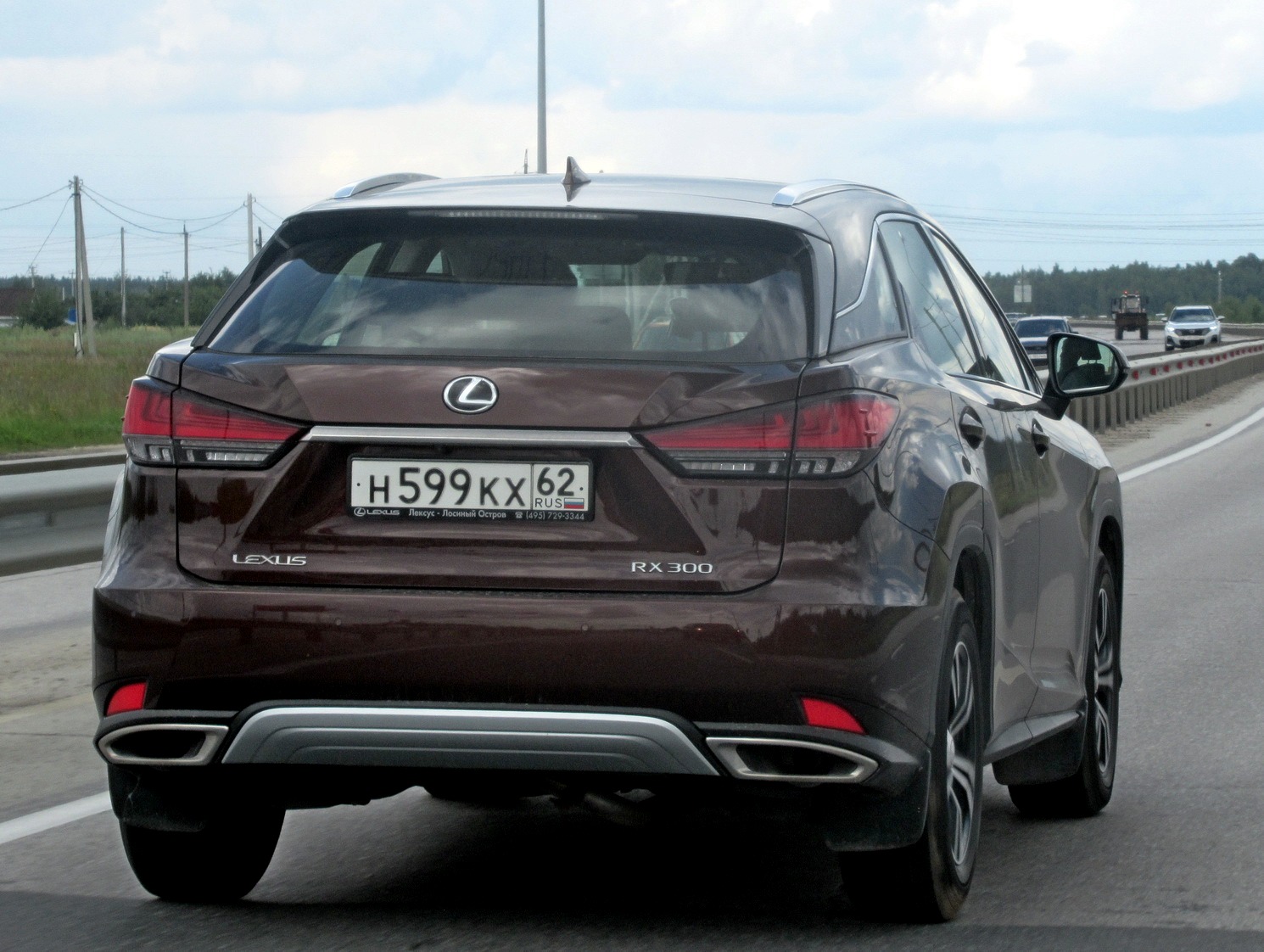 н 599 кх 62, Lexus RX 4th gen (AL20), facelift, 2019–2022