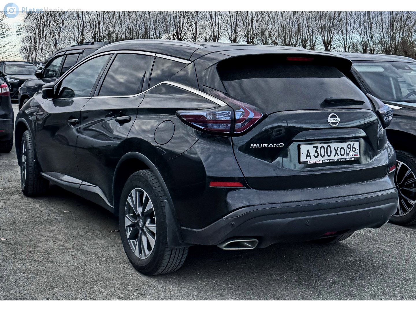 а 300 хо 96, Nissan Murano 3rd gen (Z52), 2014–2024