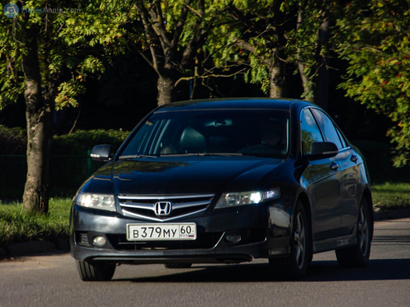 в 379 му 60, Honda Accord 