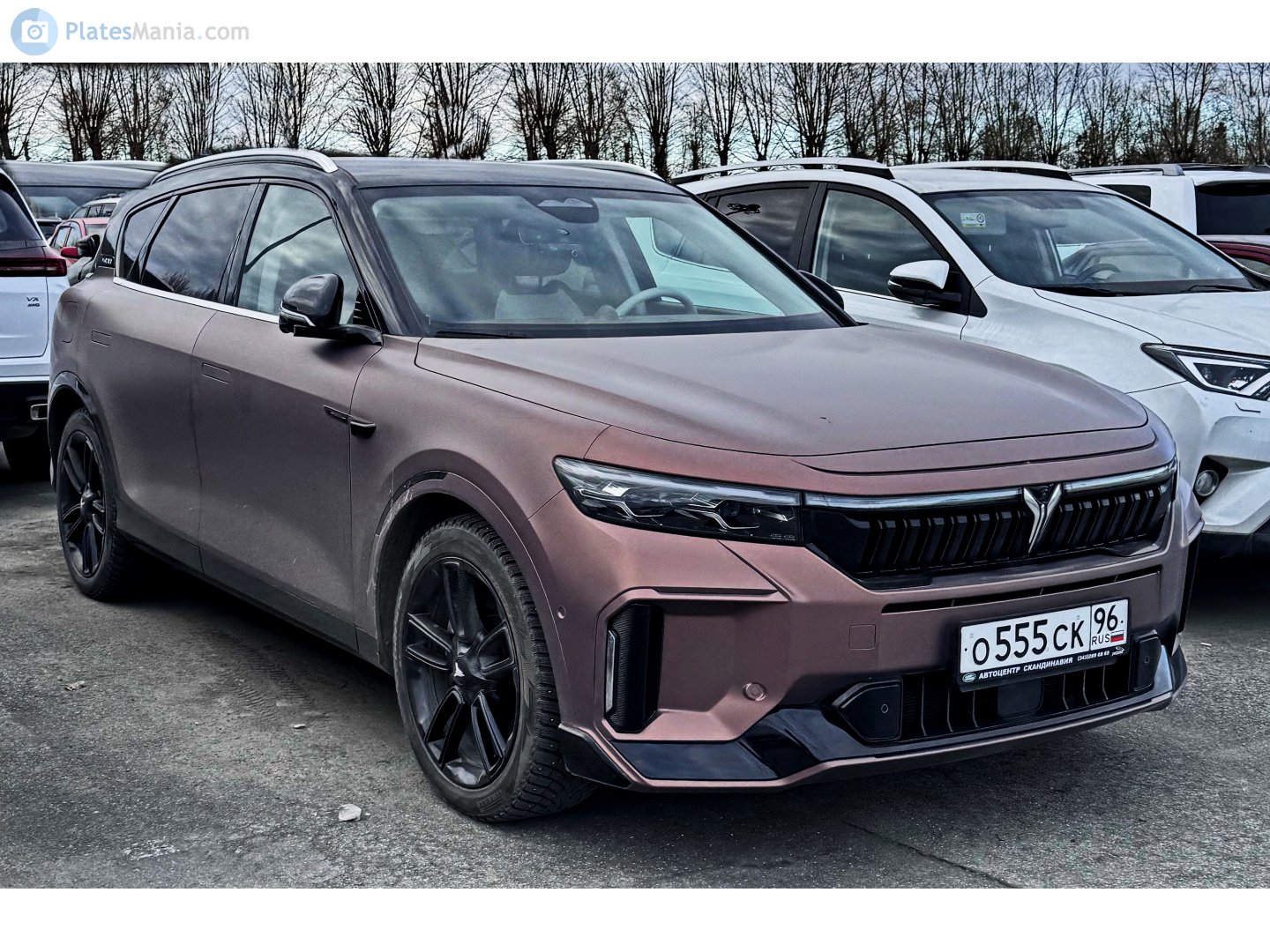 о 555 ск 96, Voyah (Lantu) Free 1st gen, facelift, 2023–