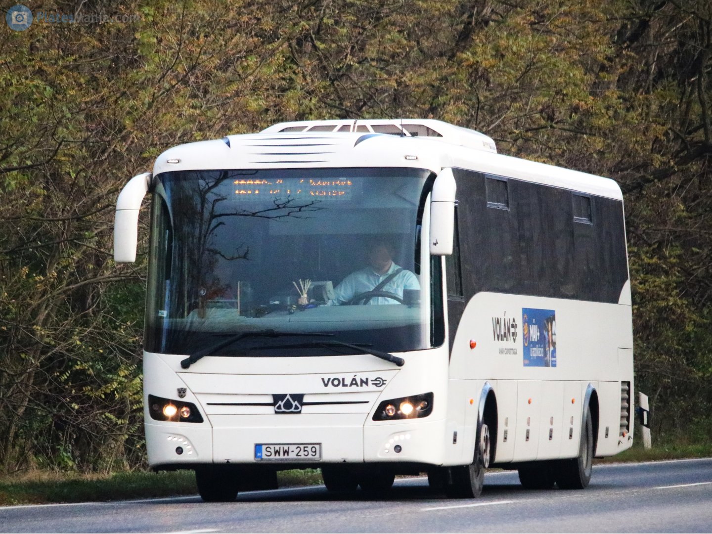 SWW-259, Kravtex Credo Inovell 