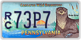 Pennsylvania, Specialty plates (A/B XXXX(X))