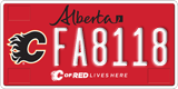 Alberta, Calgary Flames (FA1234)