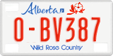 Alberta, Rental cars (X-AB123)