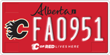Alberta, Calgary Flames (FA1234)
