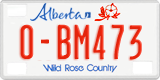 Alberta, Rental cars (X-AB123)