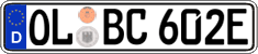 German license plate, Electric vehicles