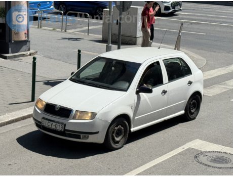 ICY-019, Skoda Fabia