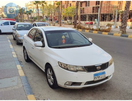 ‎٣٧٦٣‎ ‎ط ر ب‎, Kia Cerato