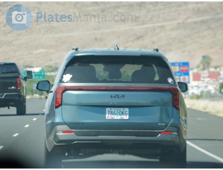 786 QKG, Kia Carnival