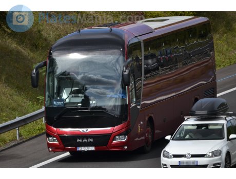 SB 3004-CC, MAN Lion