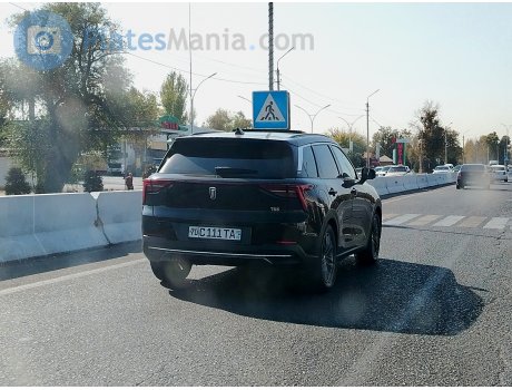 70 C 111 TA, Bestune (Besturn) T55