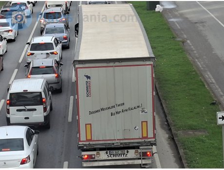 49 AAZ 202, Schmitz SKO