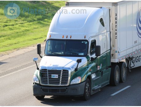 3347402, Freightliner Cascadia