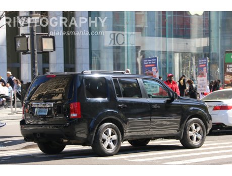 0080 FMD, Honda Pilot