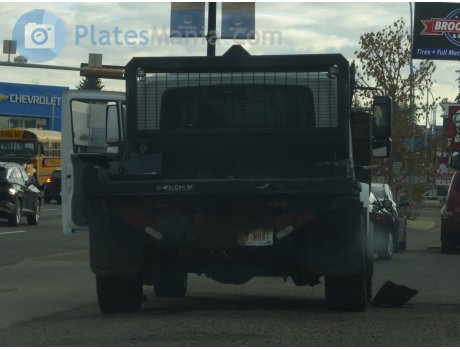 03-M047, International MXT