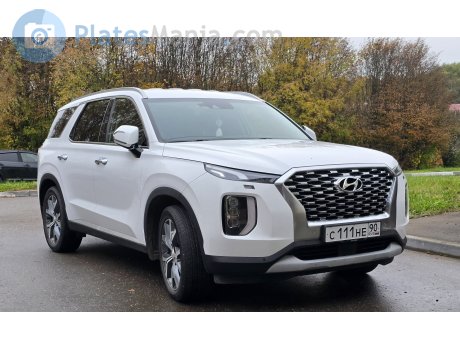 с111не90, Hyundai Palisade