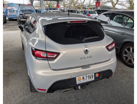 M 7169, Renault Clio