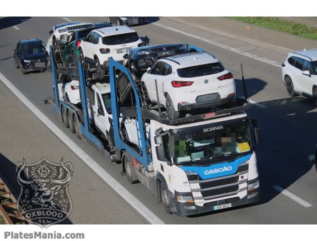 AR 38 ZI, Scania P-Series