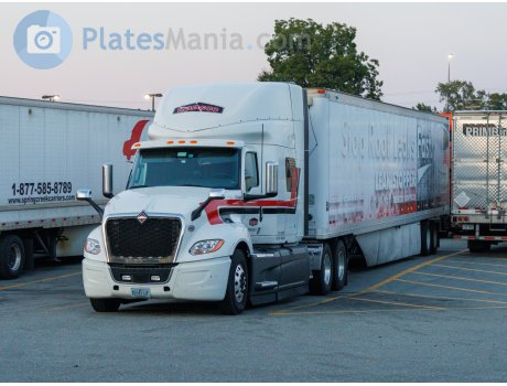 XE8 12F, International LT Series