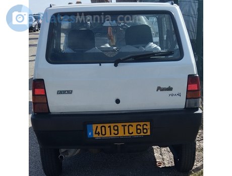 4019 TC 66, FIAT Panda