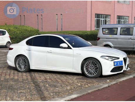 津F·3E711, Alfa Romeo Giulia