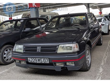 4229 MS 07, Peugeot 309