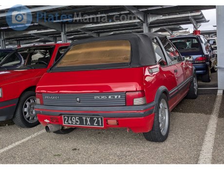2495 TX 21, Peugeot 205