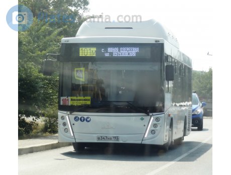 в347нв193, MAZ 206