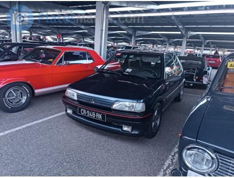 CR-948-RK, Peugeot 106