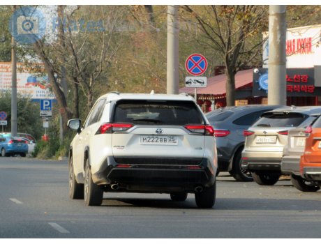 м222вв25, Toyota RAV4