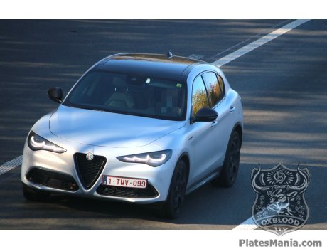 1-TWV-099, Alfa Romeo Stelvio