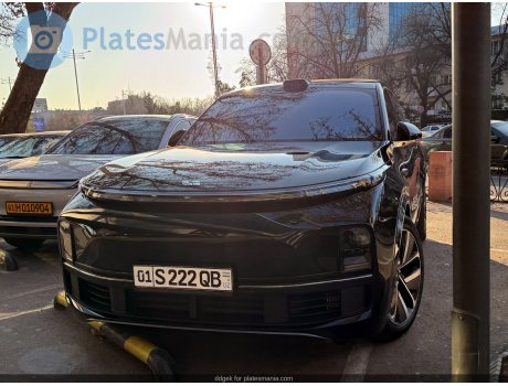 01 S 222 QB, Li Xiang L9