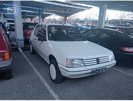 CS-410-RC, Peugeot 205