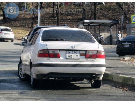 к239ае125, Toyota Corona