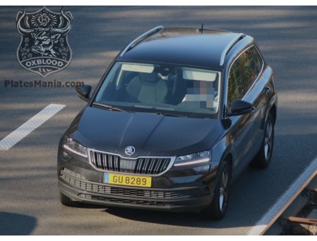 GU 8289, Skoda Karoq