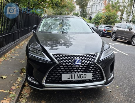 J111 NGO, Lexus RX